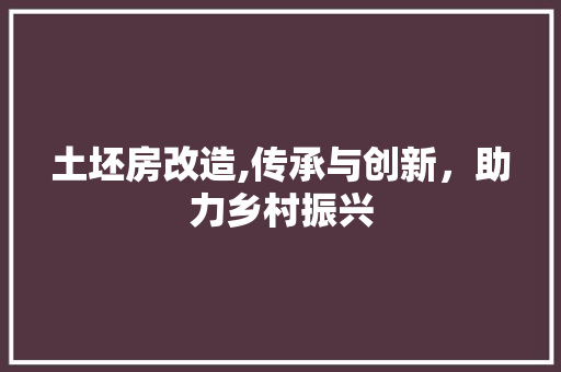 土坯房改造,传承与创新，助力乡村振兴