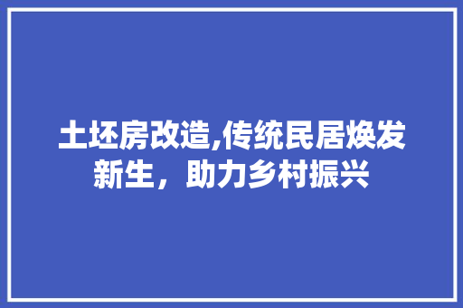 土坯房改造,传统民居焕发新生,助力乡村振兴