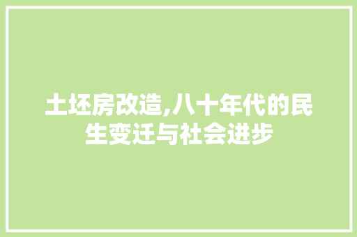 土坯房改造,八十年代的民生变迁与社会进步