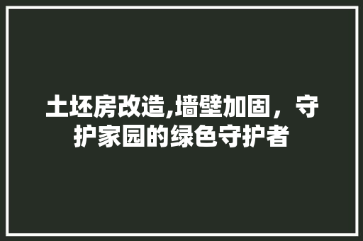土坯房改造,墙壁加固，守护家园的绿色守护者