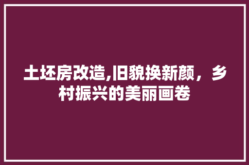 土坯房改造,旧貌换新颜，乡村振兴的美丽画卷