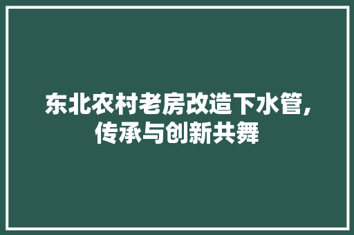 东北农村老房改造下水管,传承与创新共舞