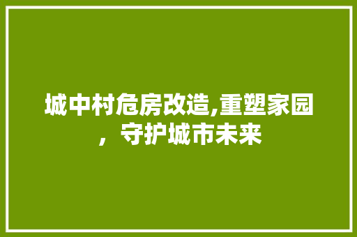 城中村危房改造,重塑家园，守护城市未来
