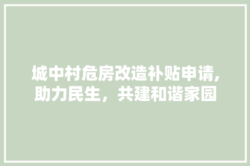 城中村危房改造补贴申请,助力民生，共建和谐家园