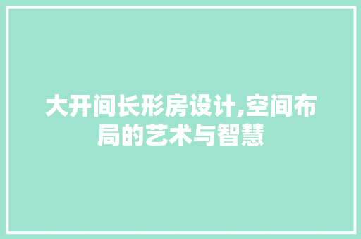 大开间长形房设计,空间布局的艺术与智慧