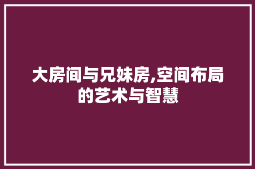 大房间与兄妹房,空间布局的艺术与智慧