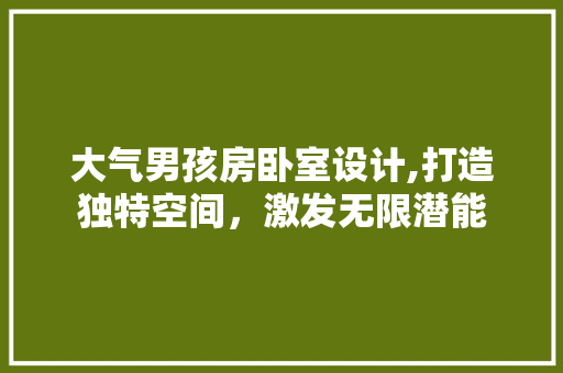 大气男孩房卧室设计,打造独特空间，激发无限潜能