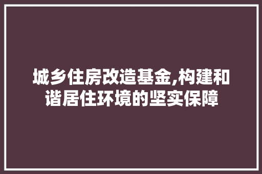 城乡住房改造基金,构建和谐居住环境的坚实保障