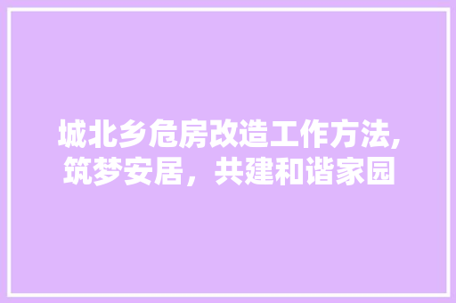 城北乡危房改造工作方法,筑梦安居，共建和谐家园