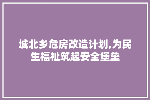 城北乡危房改造计划,为民生福祉筑起安全堡垒