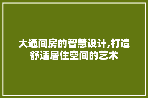大通间房的智慧设计,打造舒适居住空间的艺术