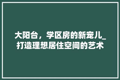 大阳台，学区房的新宠儿_打造理想居住空间的艺术