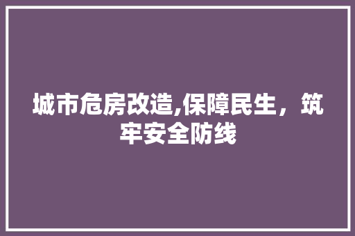 城市危房改造,保障民生，筑牢安全防线