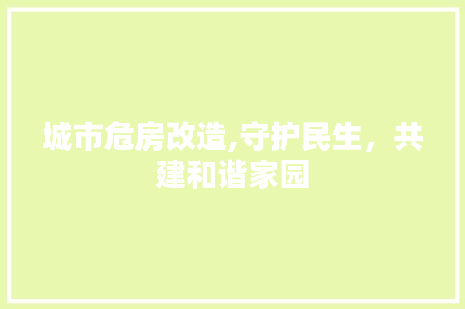 城市危房改造,守护民生，共建和谐家园