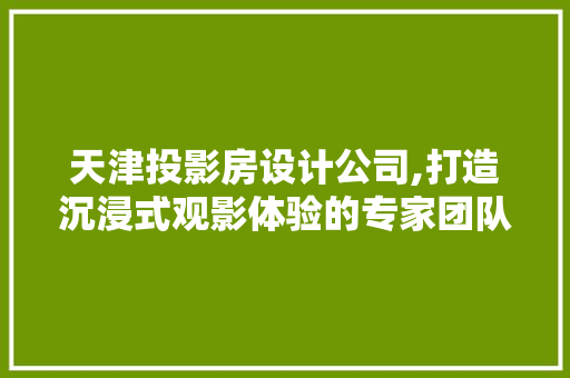 天津投影房设计公司,打造沉浸式观影体验的专家团队