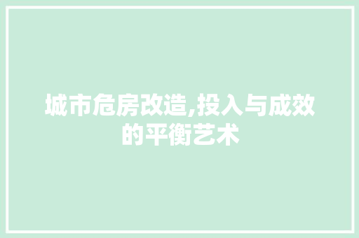 城市危房改造,投入与成效的平衡艺术