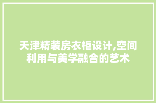 天津精装房衣柜设计,空间利用与美学融合的艺术