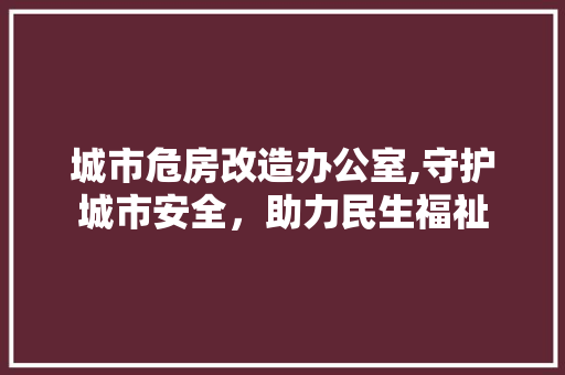 城市危房改造办公室,守护城市安全，助力民生福祉