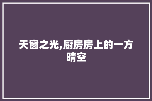 天窗之光,厨房房上的一方晴空 庭院装修
