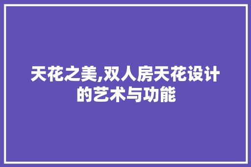 天花之美,双人房天花设计的艺术与功能 景观设计
