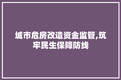 城市危房改造资金监管,筑牢民生保障防线