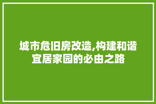 城市危旧房改造,构建和谐宜居家园的必由之路