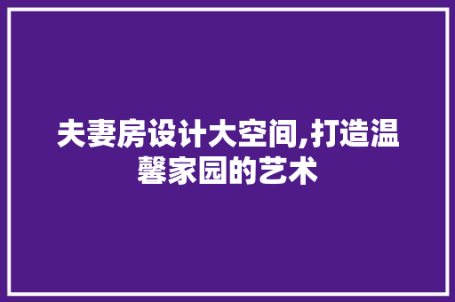 夫妻房设计大空间,打造温馨家园的艺术