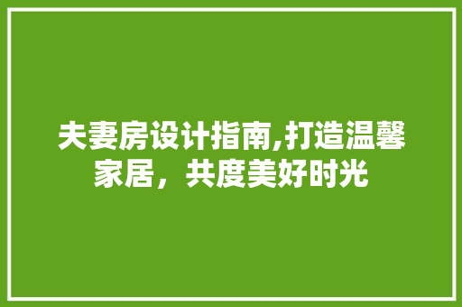 夫妻房设计指南,打造温馨家居，共度美好时光