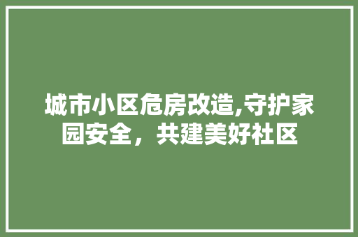 城市小区危房改造,守护家园安全，共建美好社区