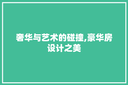 奢华与艺术的碰撞,豪华房设计之美