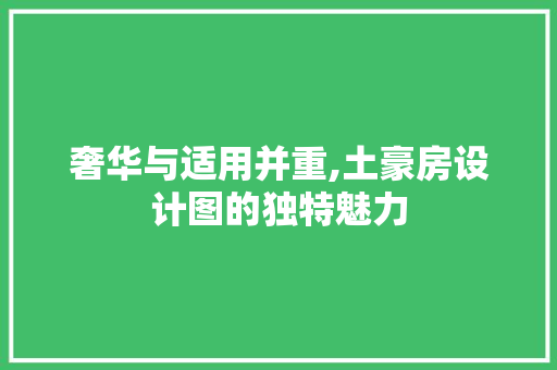 奢华与适用并重,土豪房设计图的独特魅力 装修材料