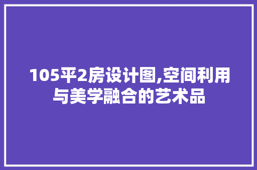 105平2房设计图,空间利用与美学融合的艺术品