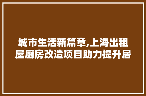 城市生活新篇章,上海出租屋厨房改造项目助力提升居住品质