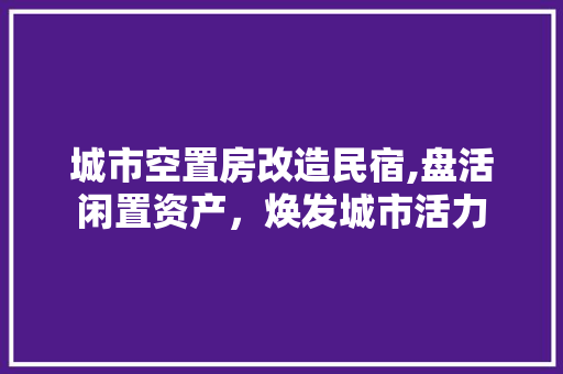 城市空置房改造民宿,盘活闲置资产，焕发城市活力