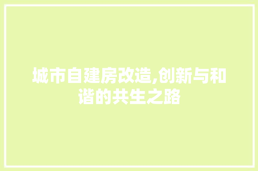 城市自建房改造,创新与和谐的共生之路