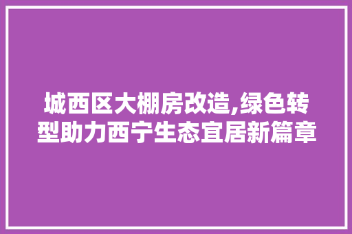城西区大棚房改造,绿色转型助力西宁生态宜居新篇章