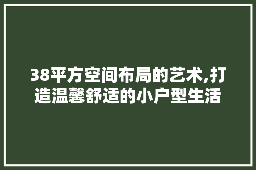 38平方空间布局的艺术,打造温馨舒适的小户型生活