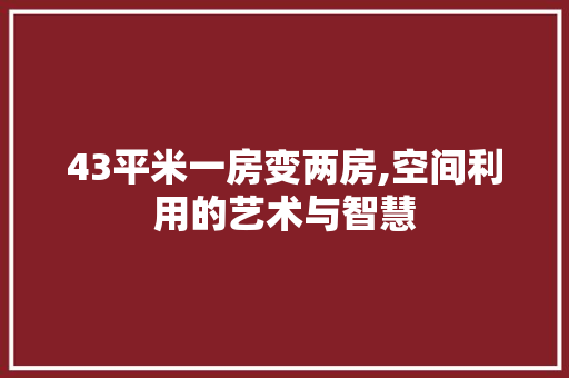 43平米一房变两房,空间利用的艺术与智慧 隔断设计