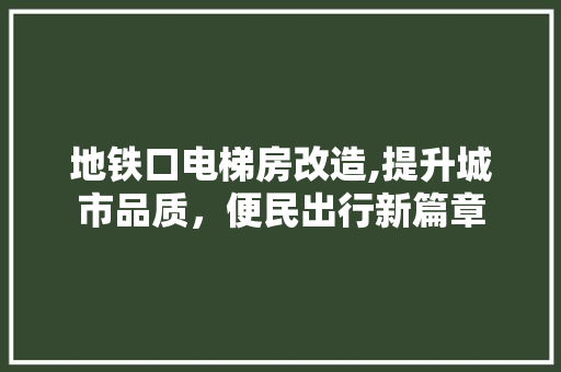 地铁口电梯房改造,提升城市品质，便民出行新篇章