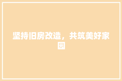 坚持旧房改造，共筑美好家园