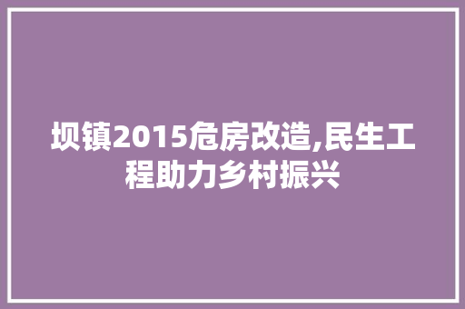 坝镇2015危房改造,民生工程助力乡村振兴