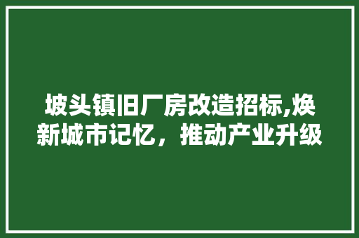 坡头镇旧厂房改造招标,焕新城市记忆,推动产业升级
