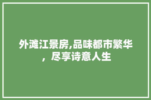 外滩江景房,品味都市繁华，尽享诗意人生