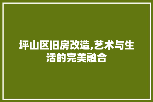 坪山区旧房改造,艺术与生活的完美融合