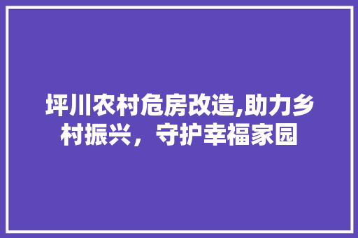 坪川农村危房改造,助力乡村振兴，守护幸福家园