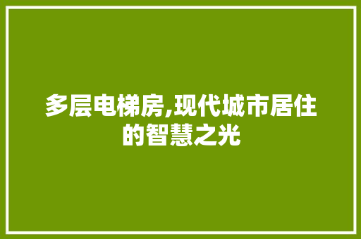 多层电梯房,现代城市居住的智慧之光