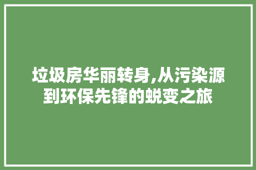 垃圾房华丽转身,从污染源到环保先锋的蜕变之旅