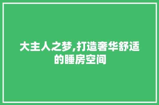 大主人之梦,打造奢华舒适的睡房空间