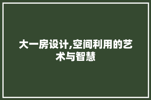 大一房设计,空间利用的艺术与智慧 地面装修