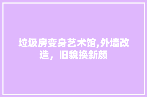 垃圾房变身艺术馆,外墙改造，旧貌换新颜